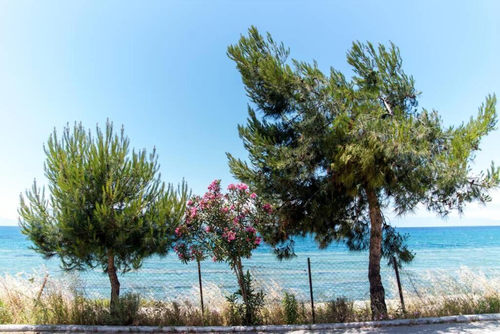 Seafront 2 Bedrooms Apartment Nea Iraklia Ngoại thất bức ảnh